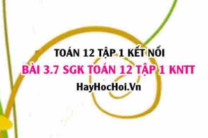 Bài 3.7 SGK Toán 12 tập 1 Kết nối tri thức